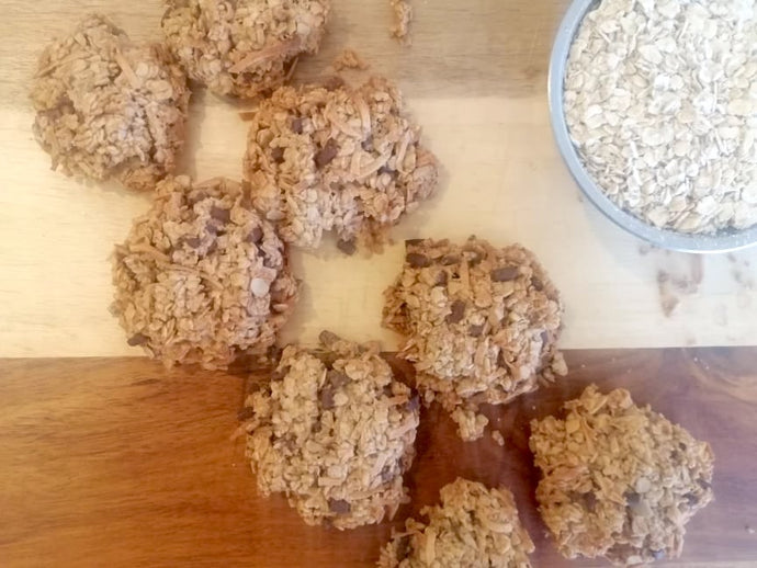 Easy Oat Flourless Chocolate Chip Biscuits