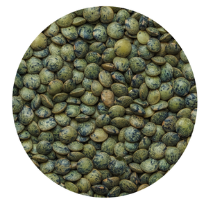 Bulk Pantry Refill Green Puy Lentils