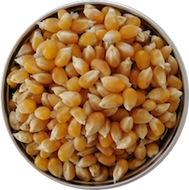 bulk-eco-refills-popping-corn