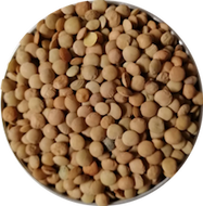 bulk-eco-refills-brown-lentils