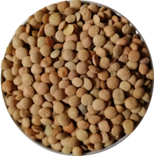 bulk-eco-refills-brown-lentils