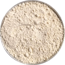 Onion Powder