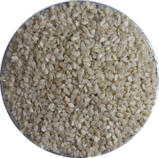bulk-eco-refills-sesame-seeds